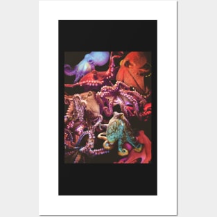 Octopuses Posters and Art